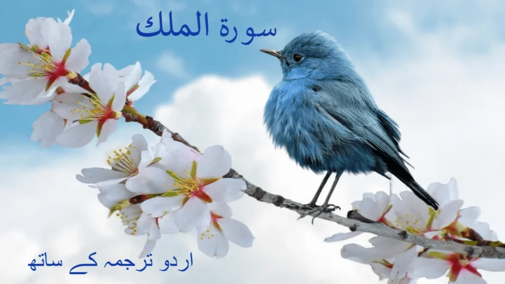 Surah AL Mulk 1