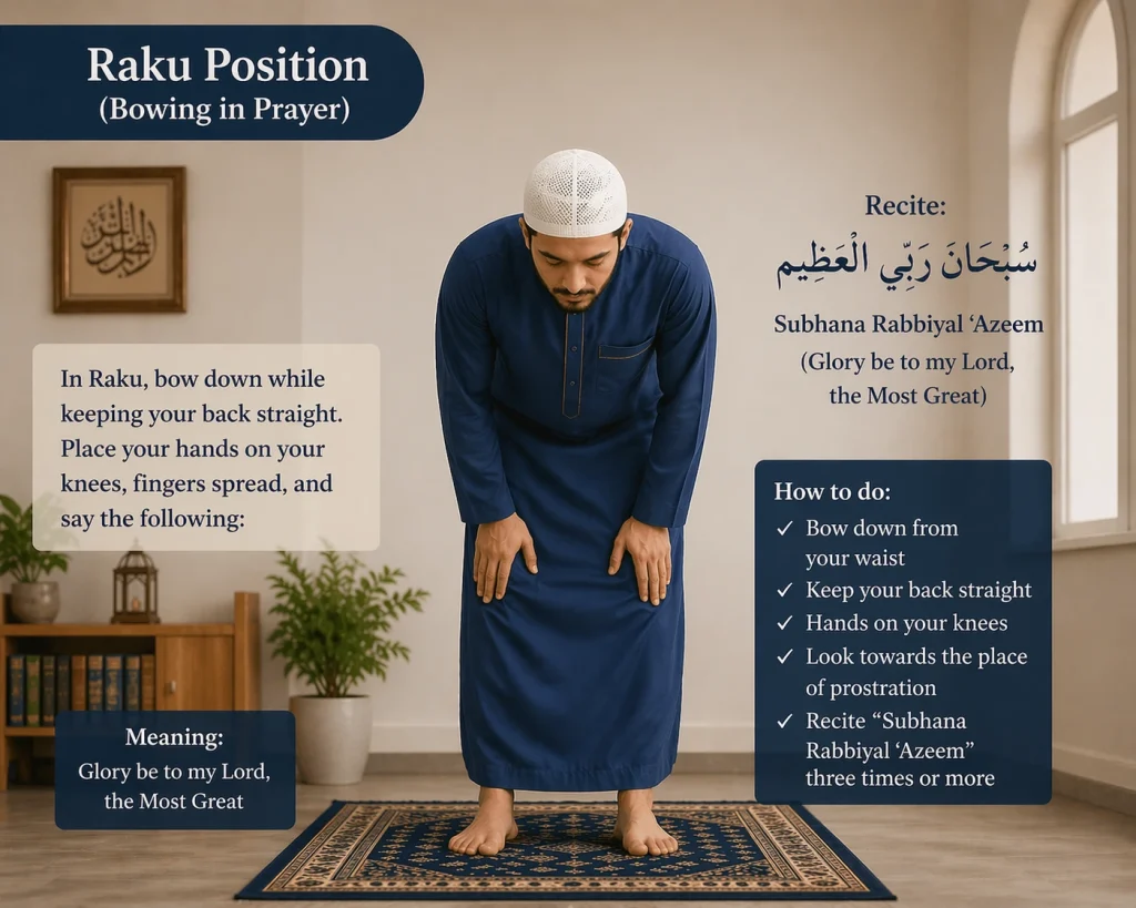 Ruku Positon (bowing in Prayer)
Recite Subhana Rabbiyal Azeem meaning Glory be to my Lord the Most Great
How to Do
Bow down from your waist
Keep you Back Straight
Hands on you Knees
Looktoword the place of prostration
and Recited three time or more "Subhana Rabbiyal Azeem","سُبْحَانَ رَبِّيَ الْعَظِيمِ "